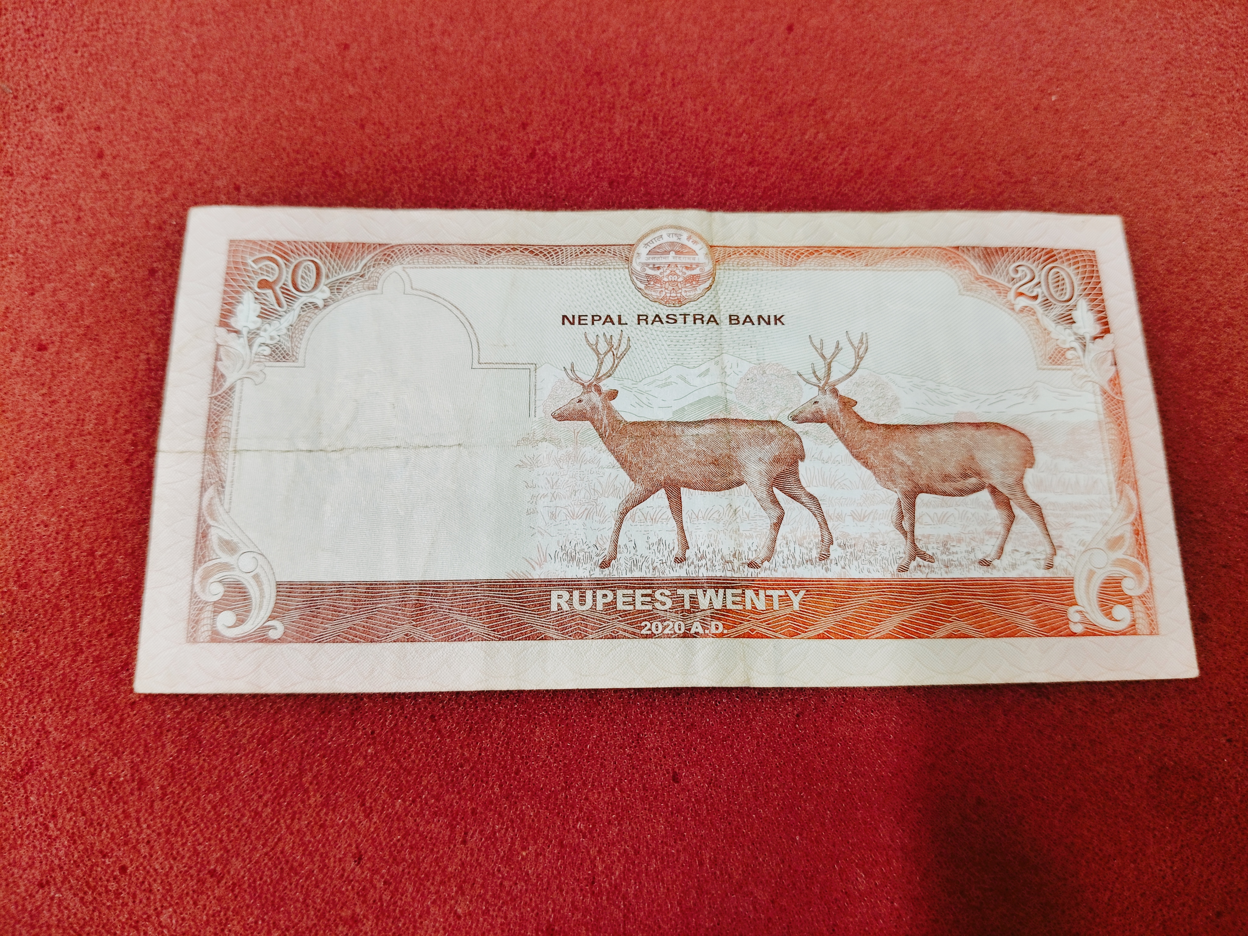 NEPAL 20 RUPEE NOTE GEM UNC CONDITION — photo 2 of 2
