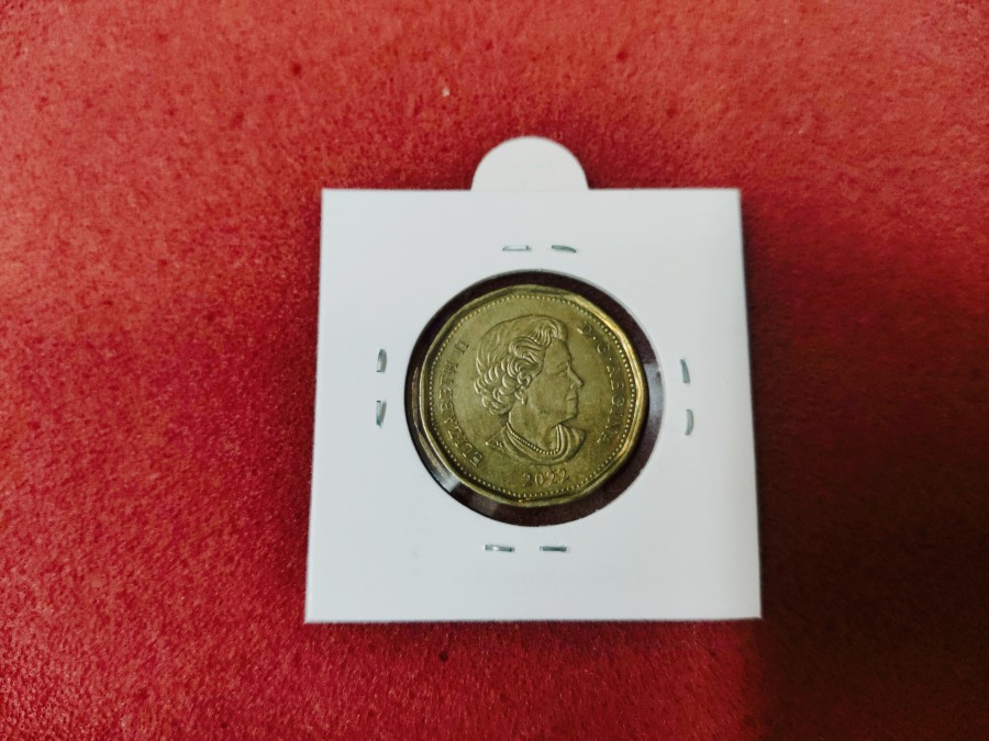 Canada – 1 dollar 2022 color unc coin — photo 2 of 2