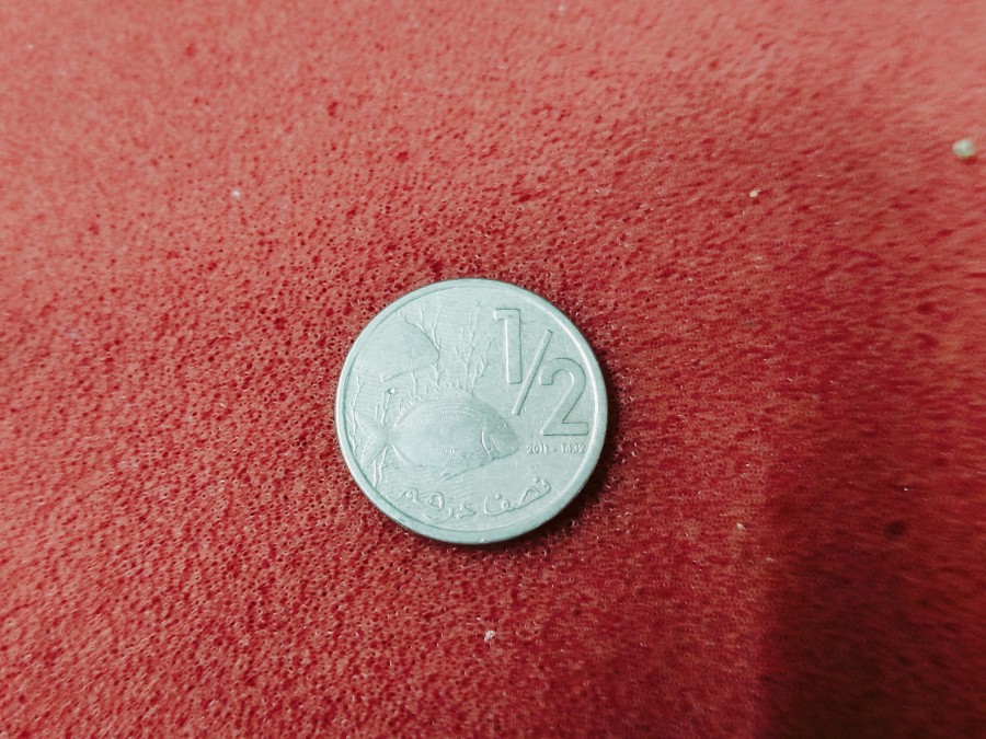 1 Dirham coin from Morocco featuring the coat of arms of the Kingdom of Morocco. — photo 2 of 2