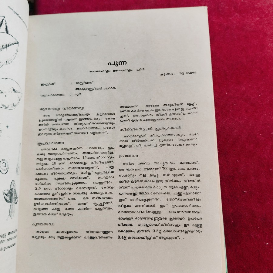 Keralathile Vanasasyangal (Forest Plants of Kerala), a Malayalam language book on botany. — photo 3 of 4